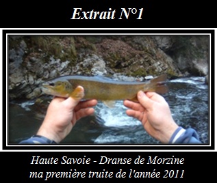 Extrait N1